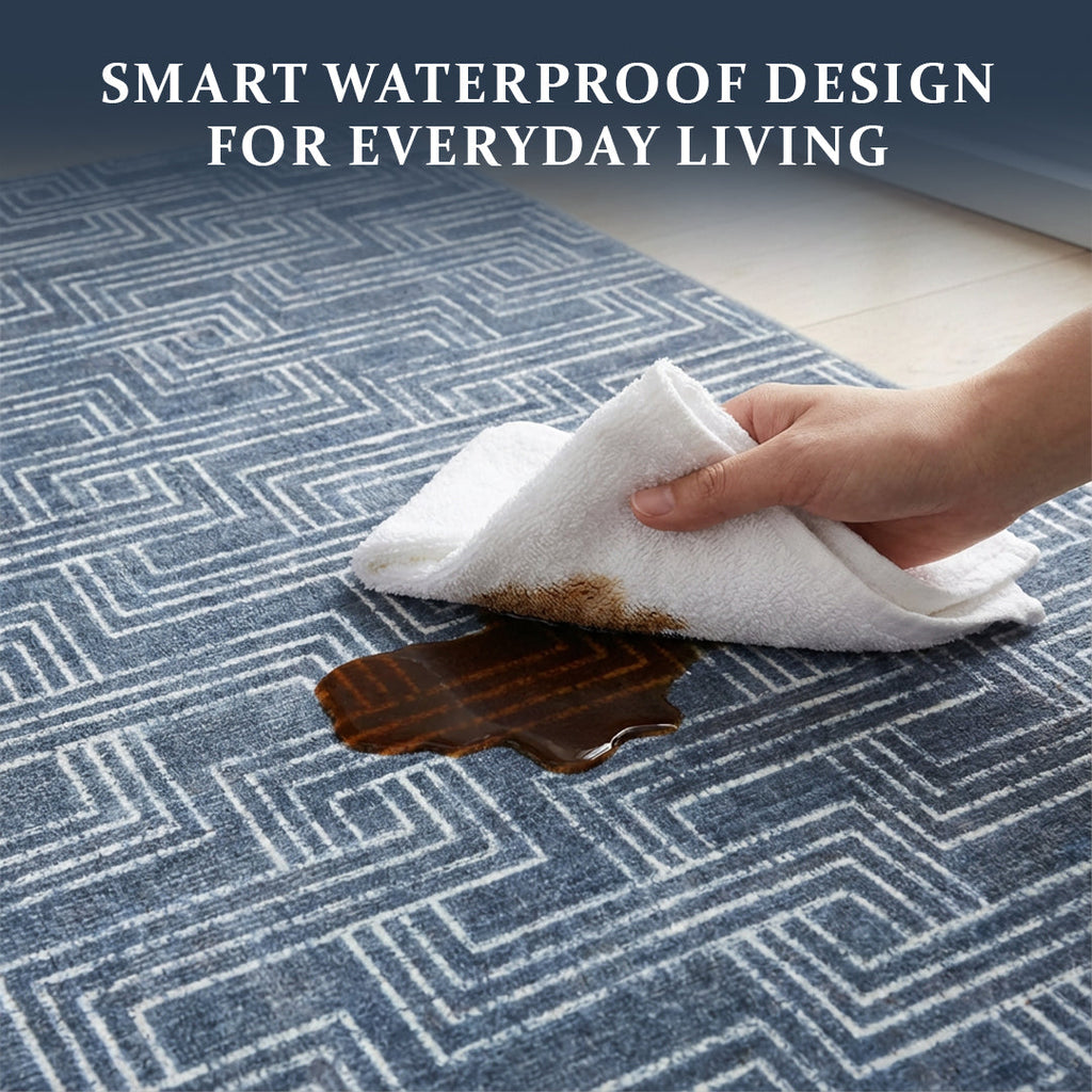 Muddy Carpet Cipher Washable Area Rugs for Living Room, Bedroom & Dining Room – Modern Soft Low Pile Non Slip Carpet – Pet Friendly Waterproof Foldable Rugs for Home