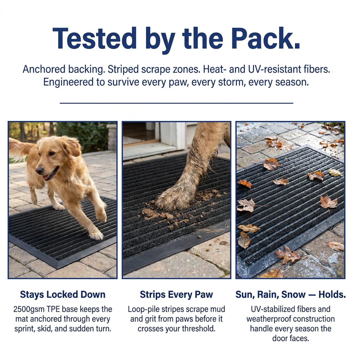 Muddy Mat® Printed Meshy Mat – The Best Dog Outdoor Mat for Muddy Paws