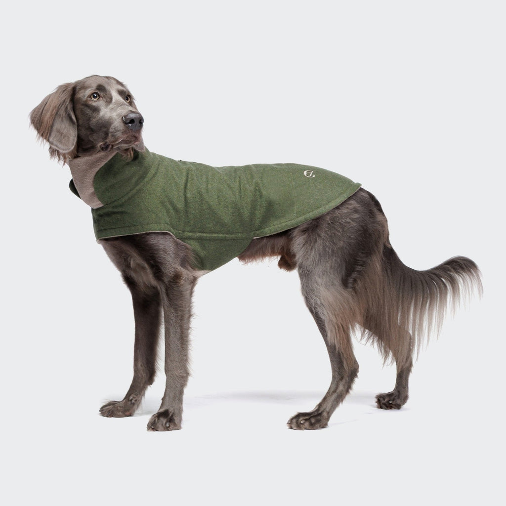 Hundemantel Brooklyn Flannel Fern Green