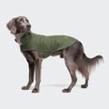 Hundemantel Brooklyn Flannel Fern Green
