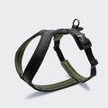 Y-1 Geschirr AKTIV Air-Mesh Black